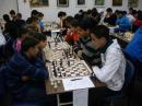 الفريديس تحرز المرتبة الاولى في الشطرنج