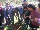 مدرسة الصديق تزرع الاشجار في متنزه البلدة